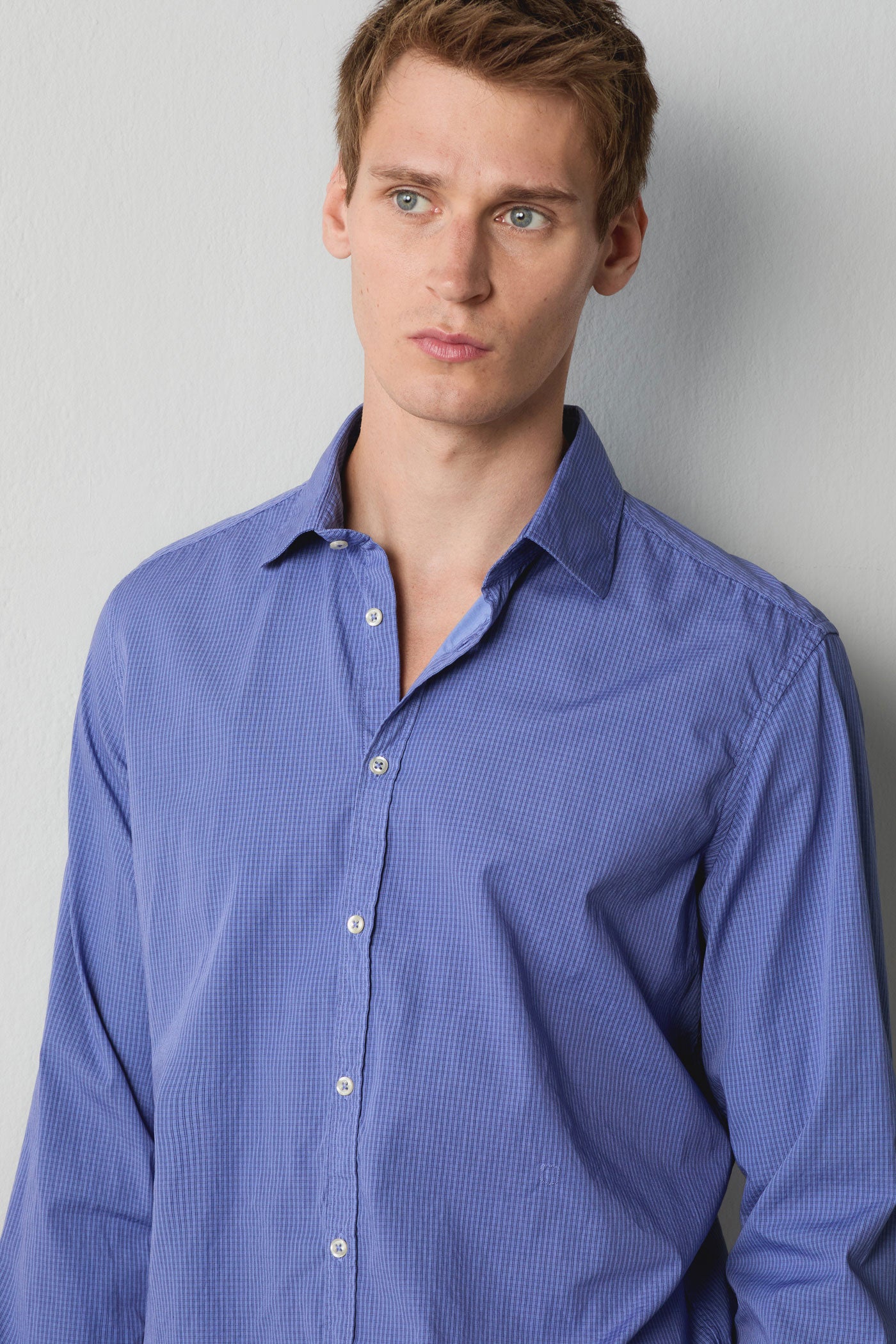 Massimo Alba - CANARY - tulip