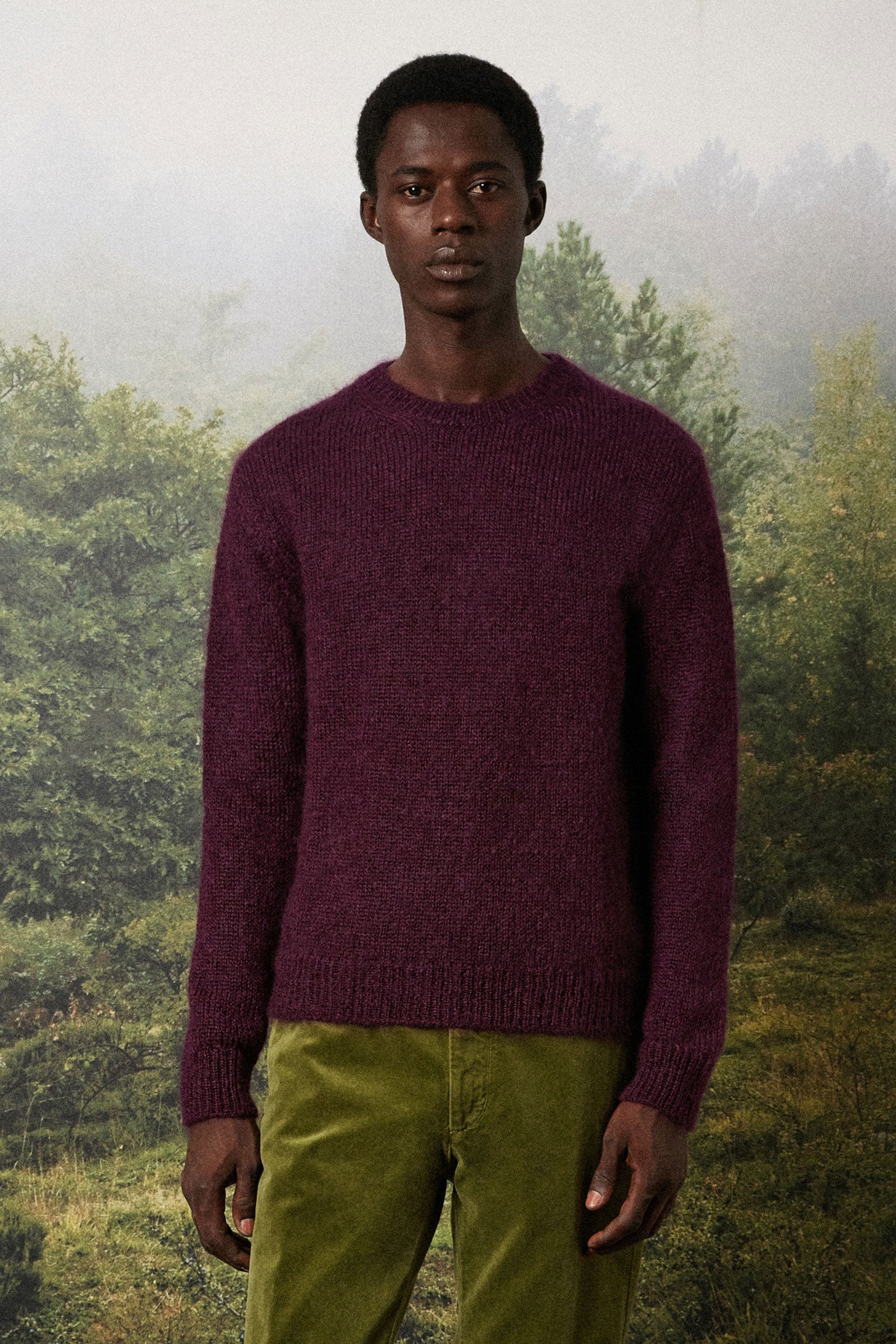 ALDER