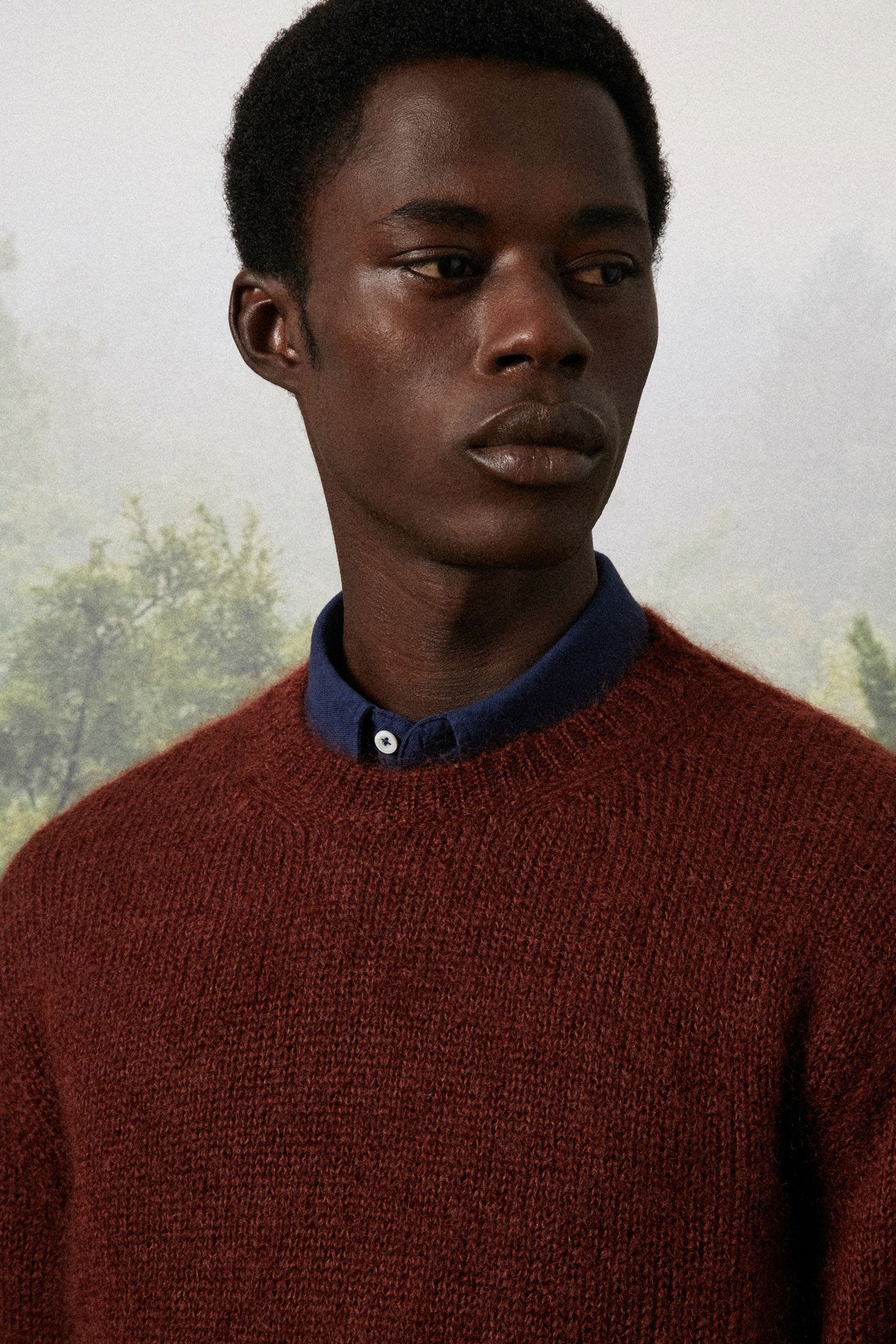 ALDER