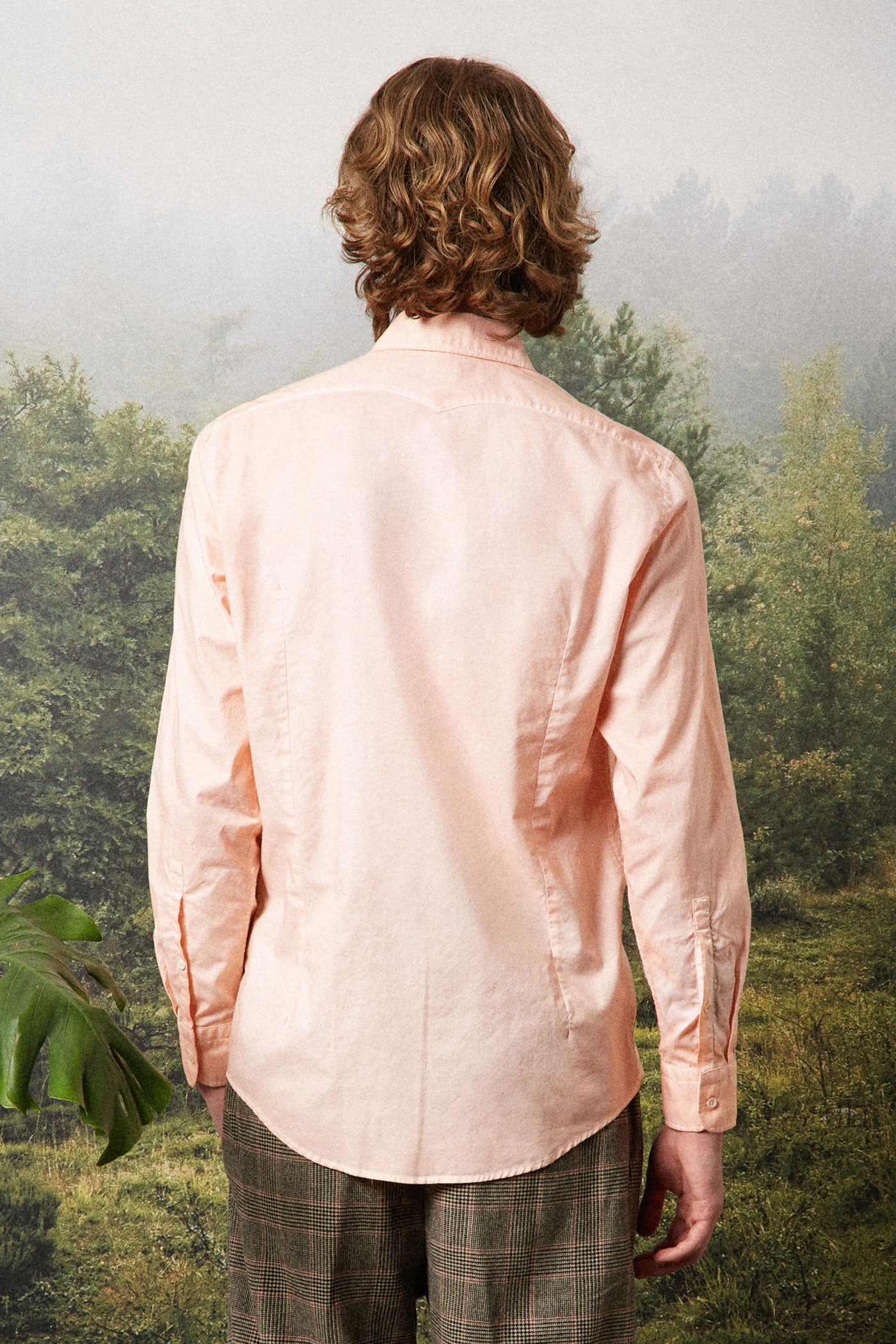 Massimo Alba - GENOVA - apricot
