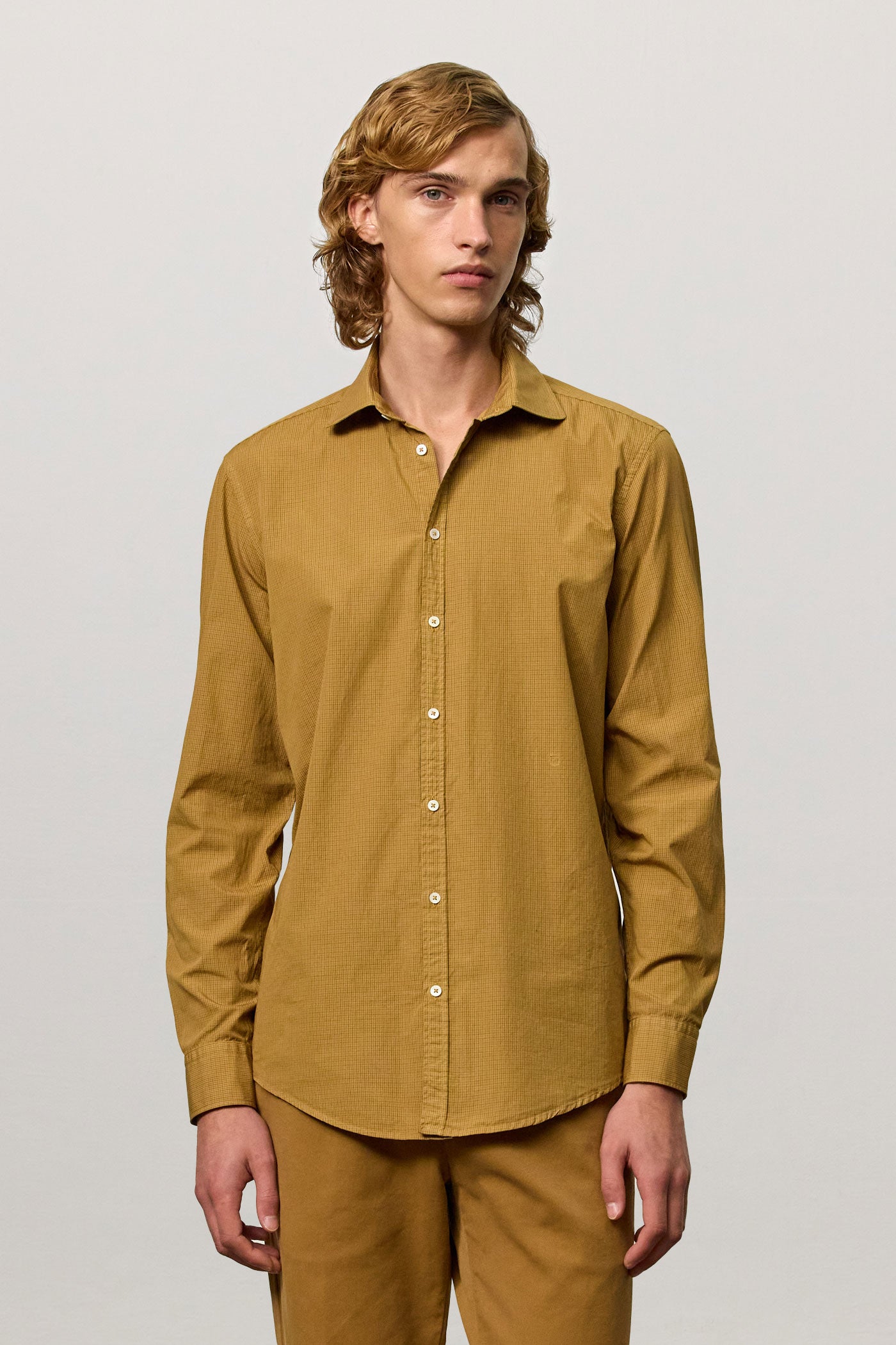 Massimo Alba - CANARY - saffron