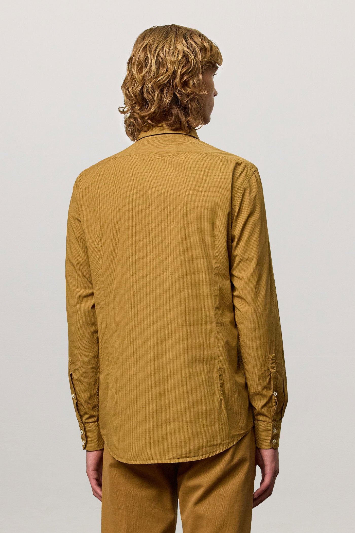 Massimo Alba - CANARY - saffron