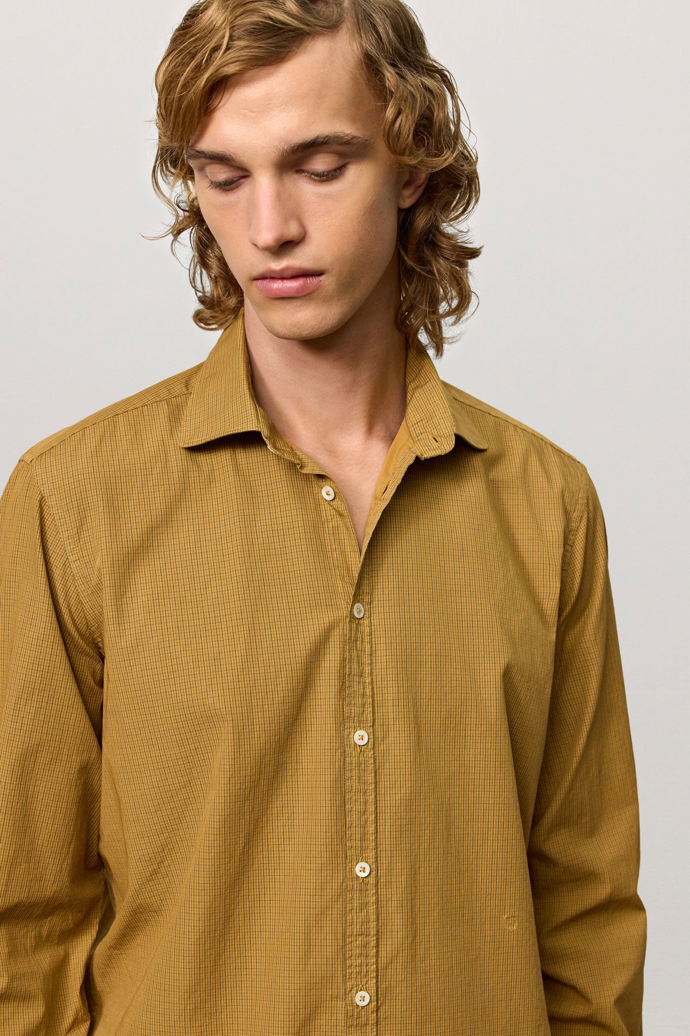 Massimo Alba - CANARY - saffron