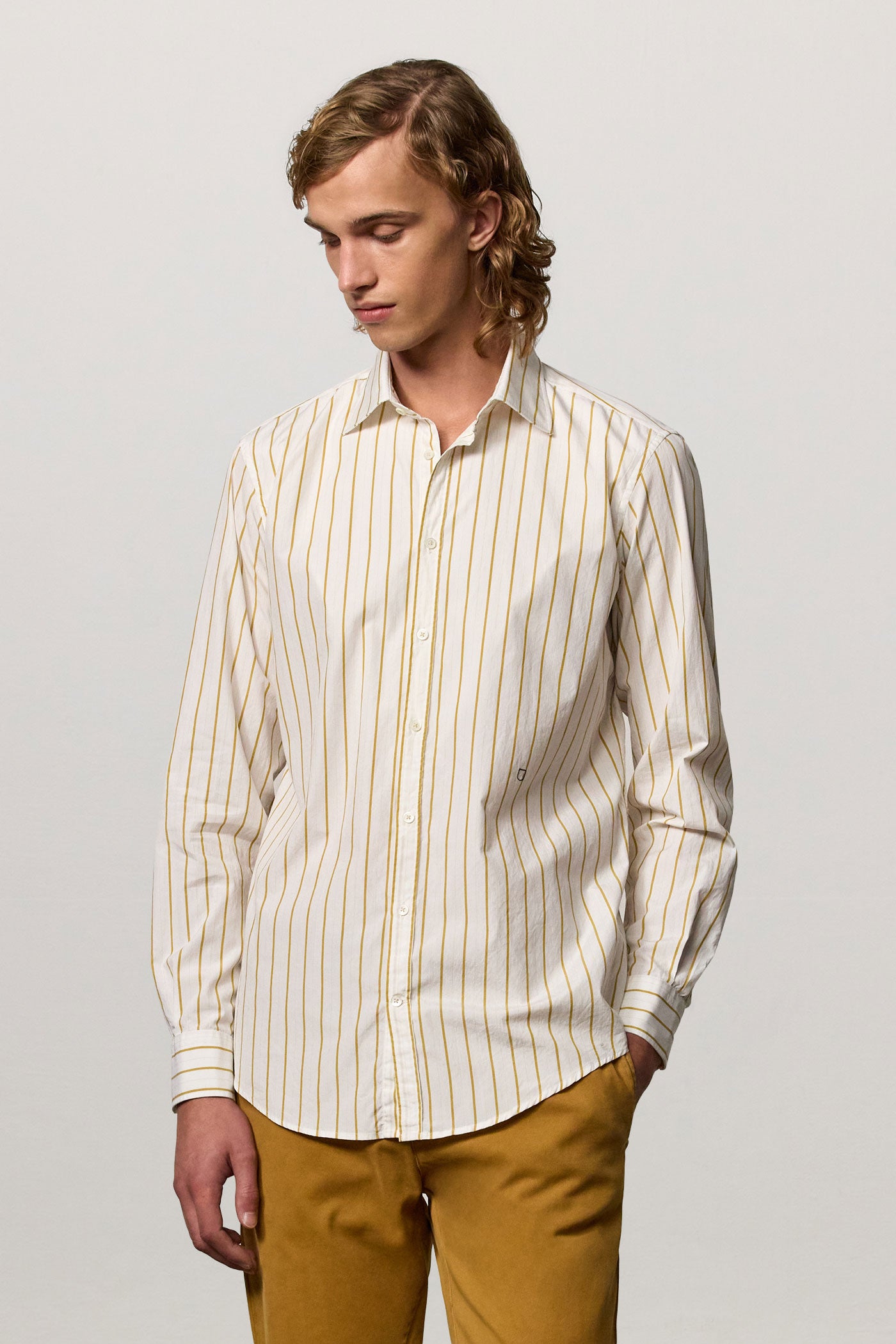 Massimo Alba - GENOVA - saffron