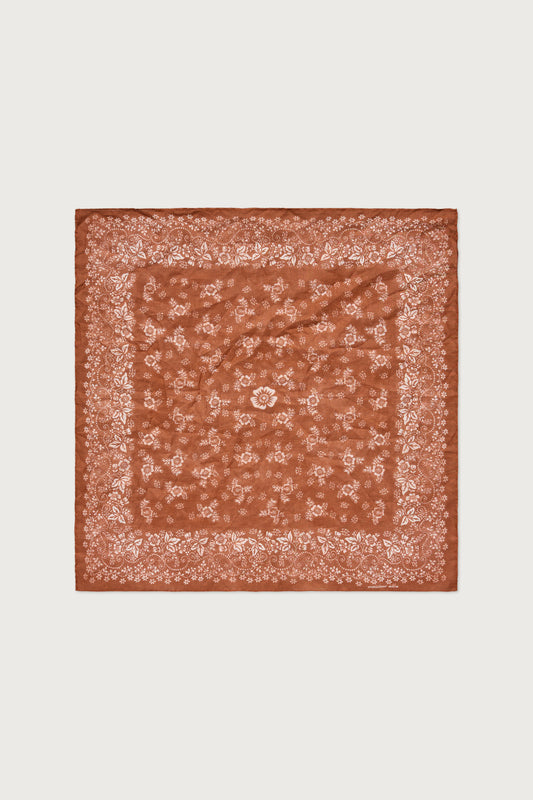 HANKY1