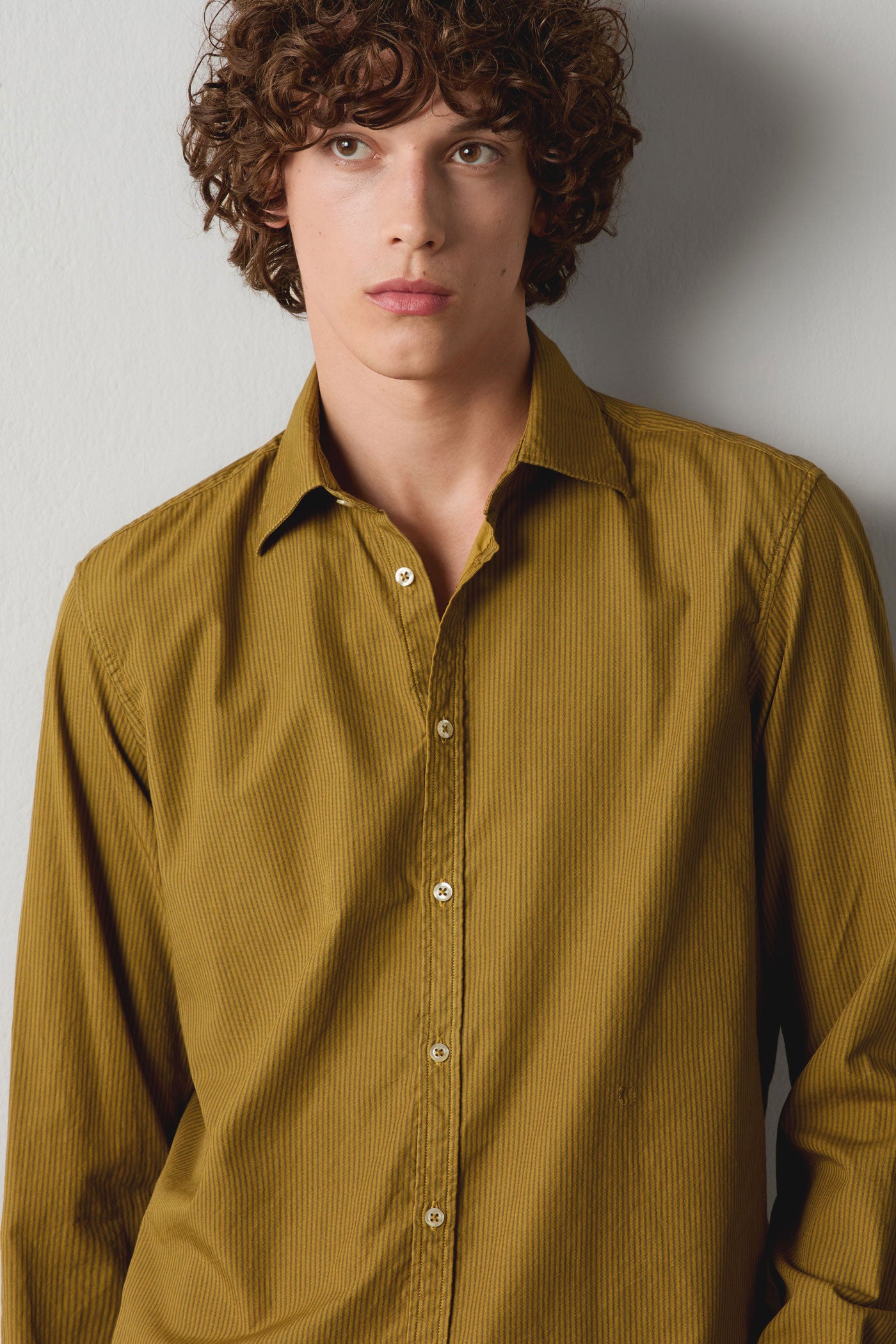 Massimo Alba - GENOVA - old olive