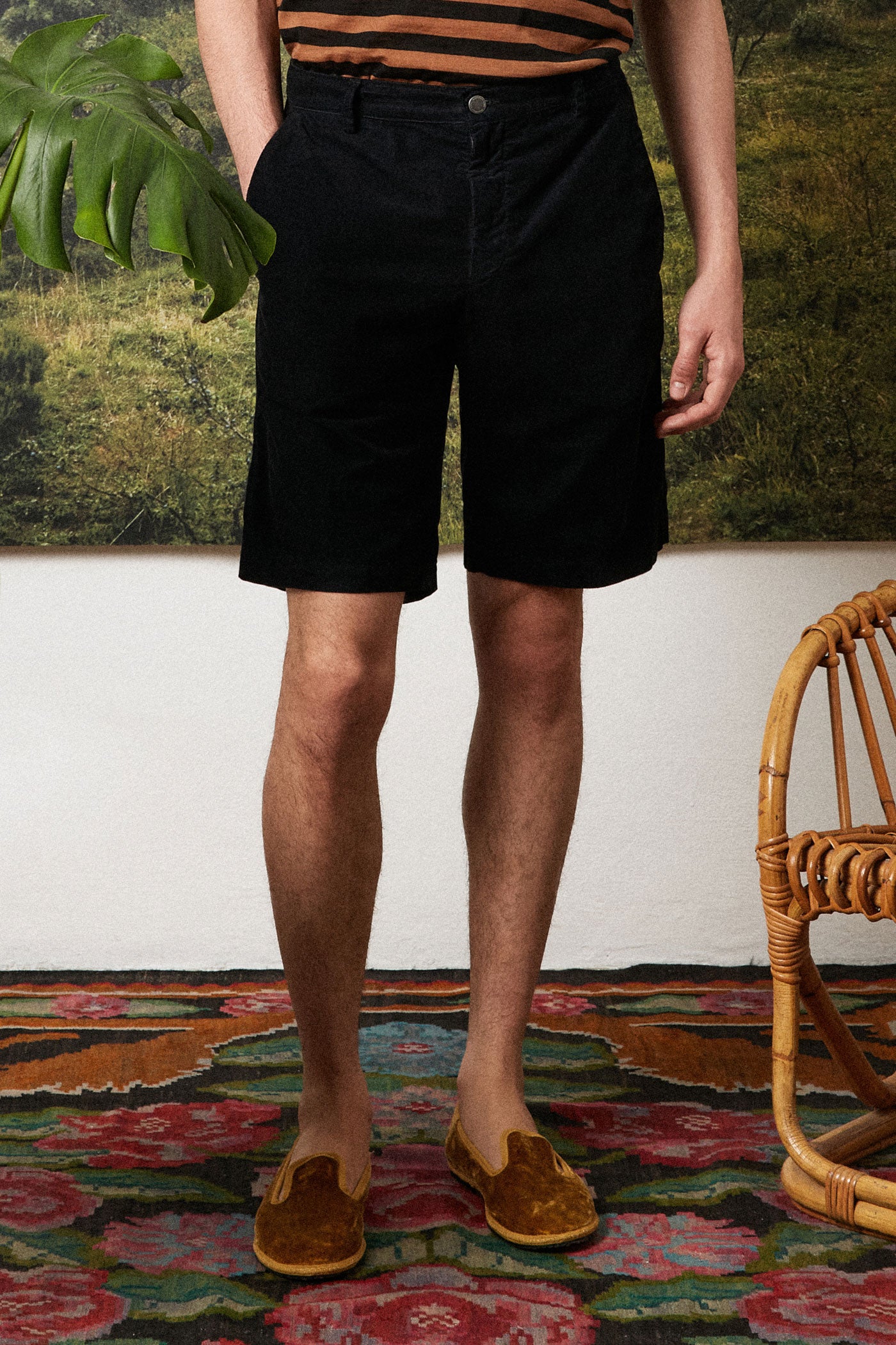 Massimo hotsell alba shorts