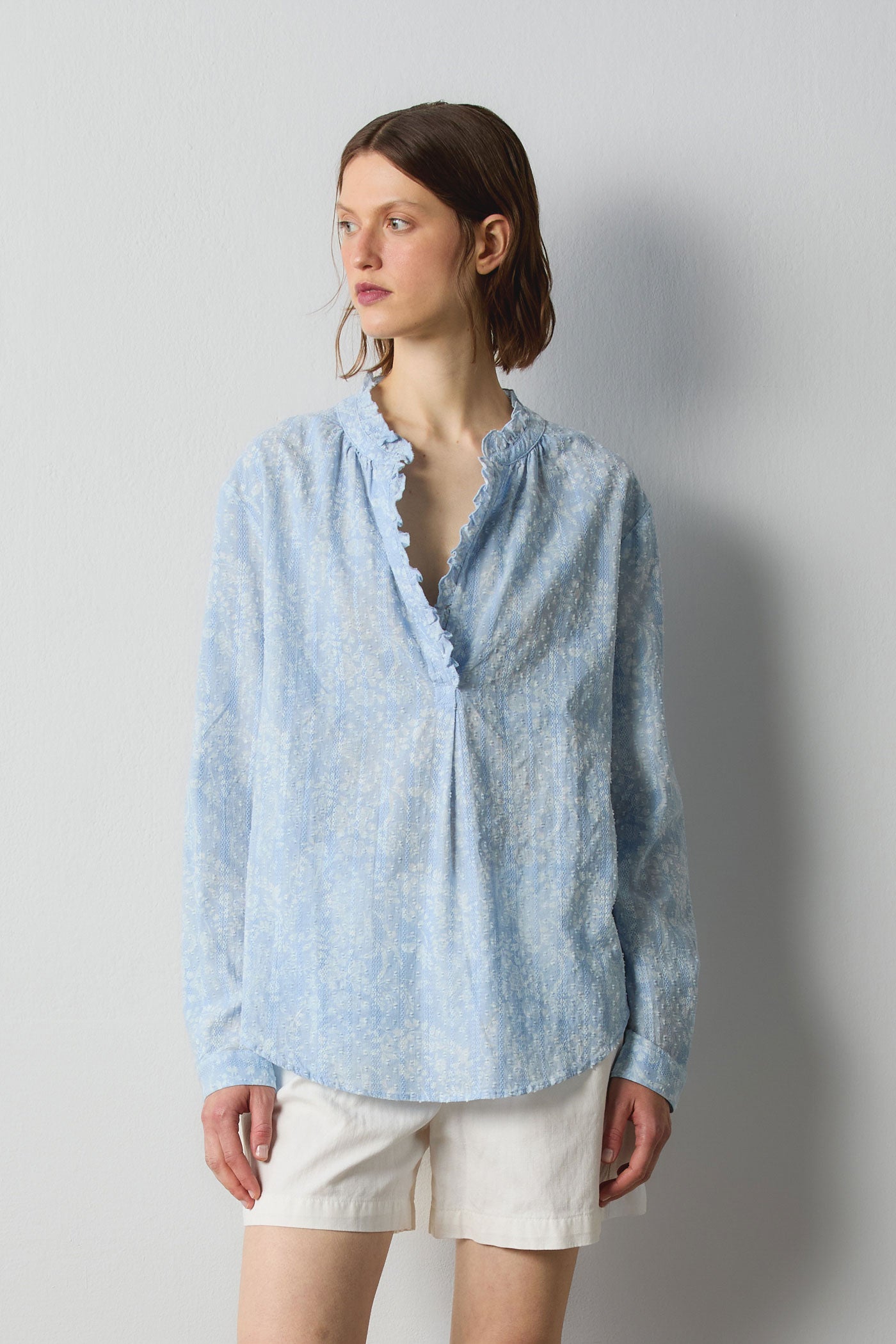 Massimo Alba - PAMELA - sky