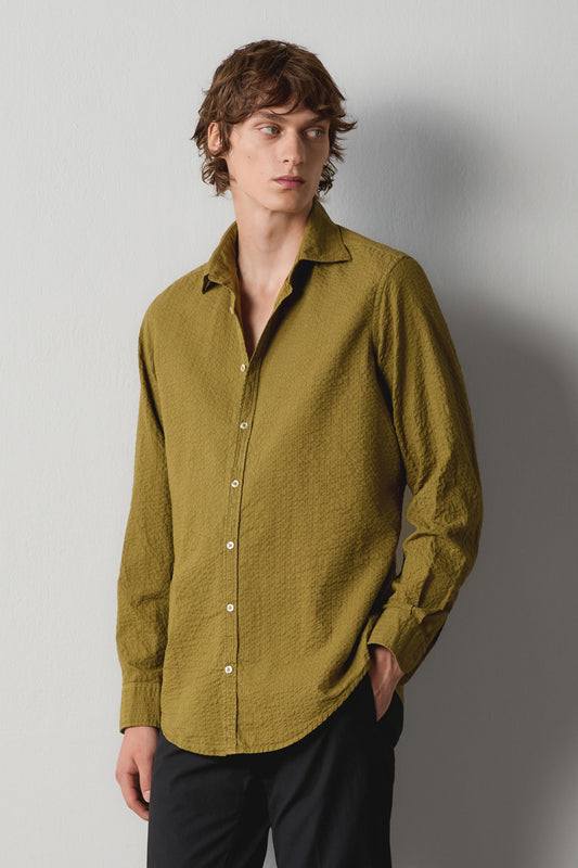 Massimo Alba - GENOVA - old olive