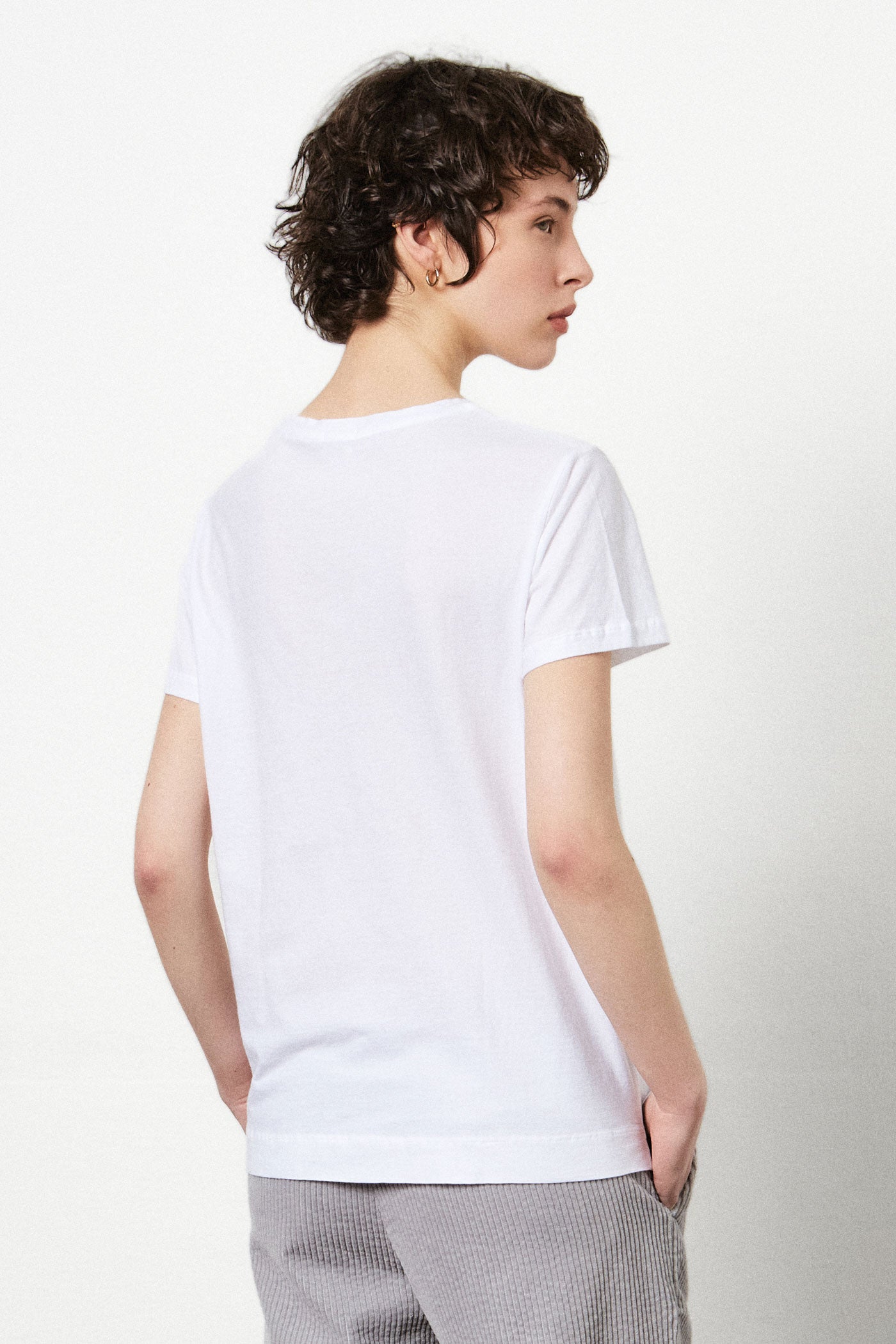 Massimo Alba - LISCAW - rainbow