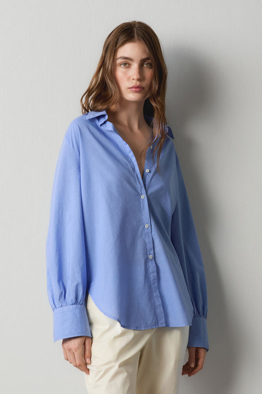 Massimo Alba - ANNA - tulip