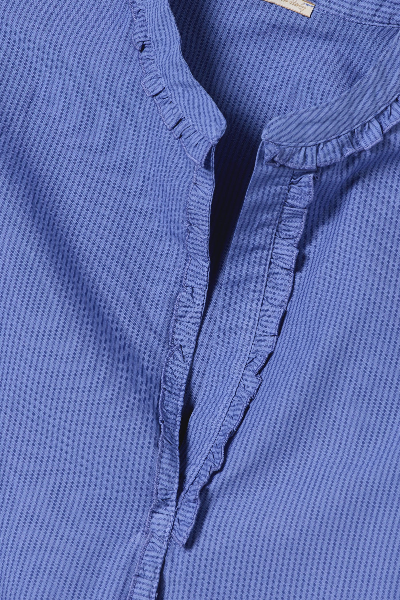 Massimo Alba - ERIKA - tulip