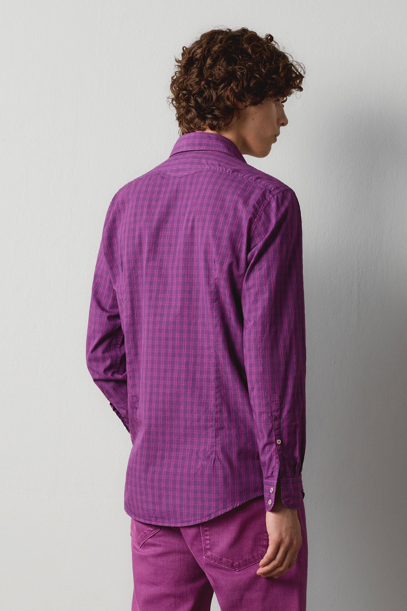 Massimo Alba - CANARY - magenta