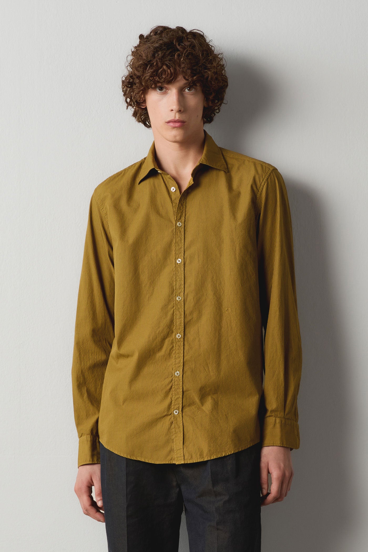 Massimo Alba - GENOVA - old olive