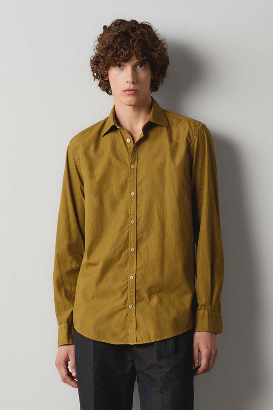 Massimo Alba - GENOVA - old olive