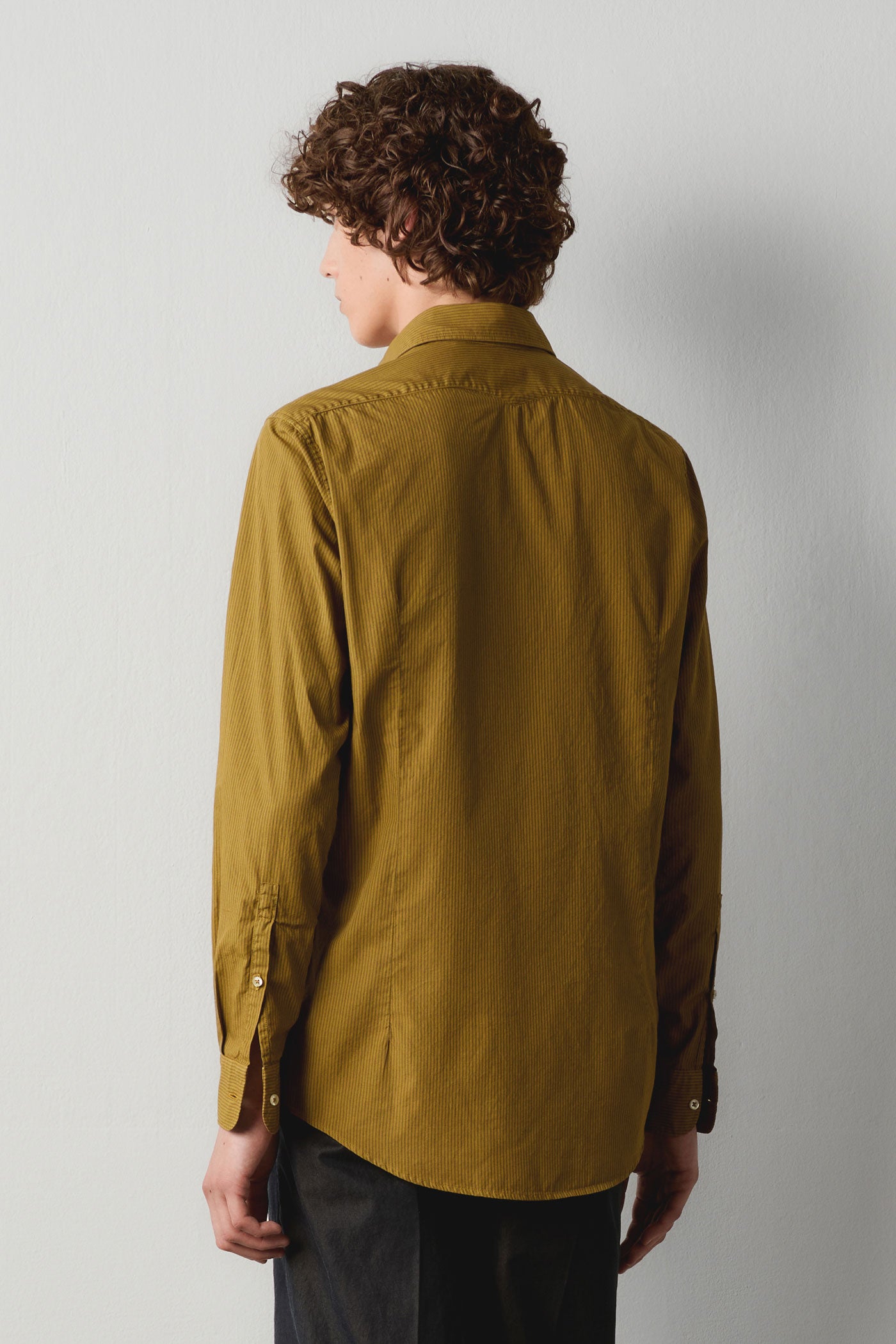 Massimo Alba - GENOVA - old olive