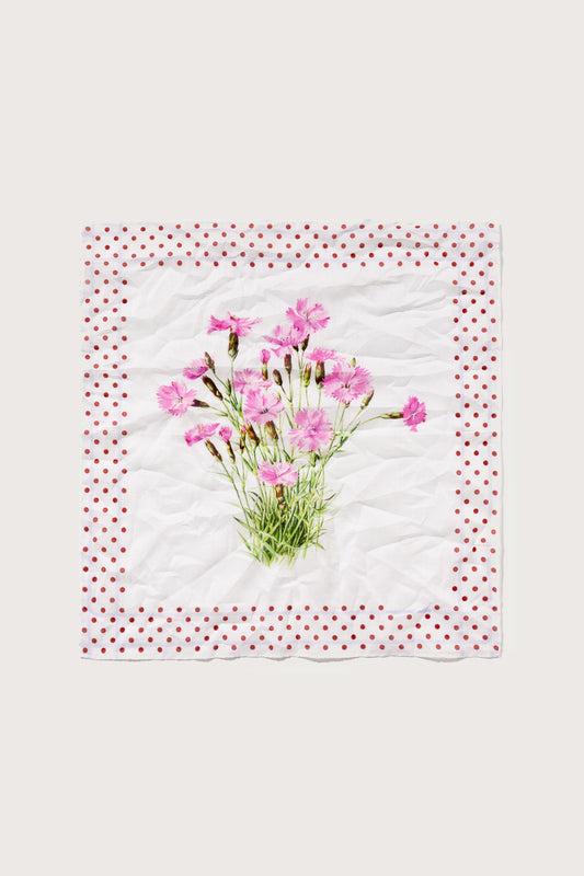 HANKY1