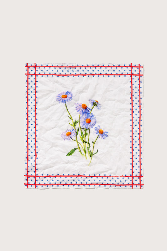 HANKY1