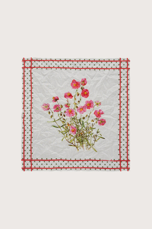 HANKY1
