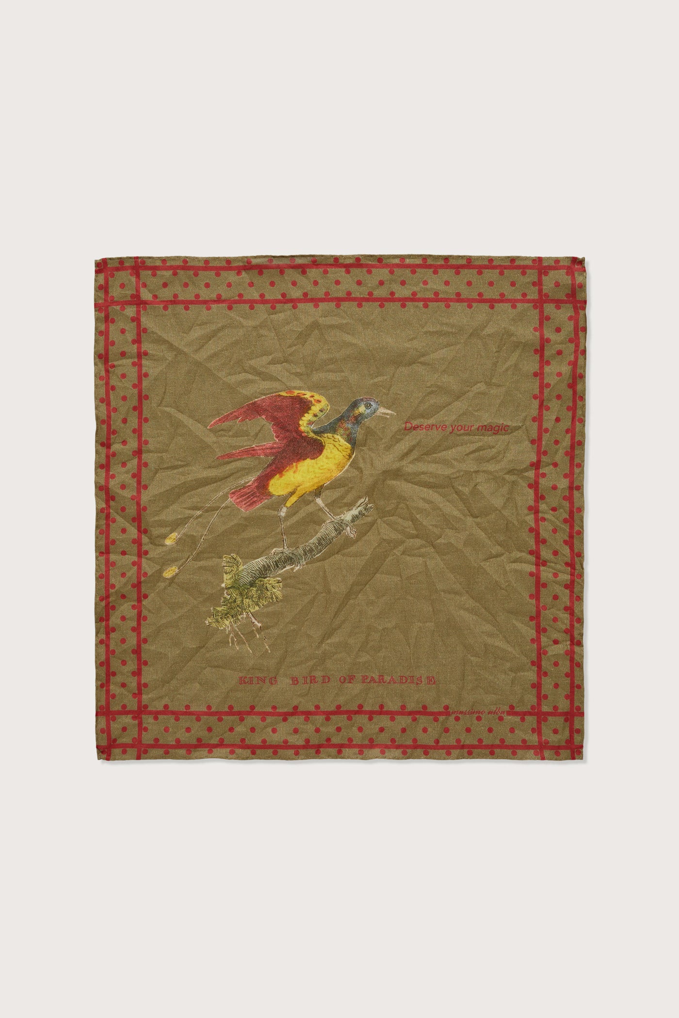 HANKY1