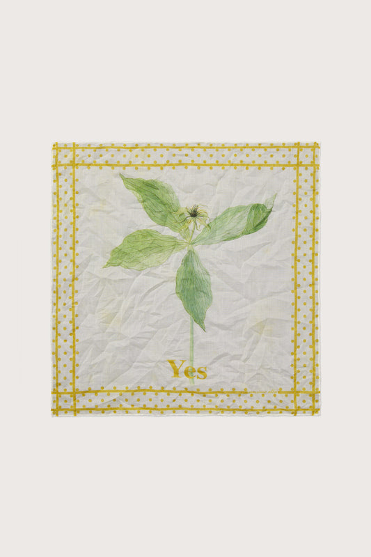 HANKY1
