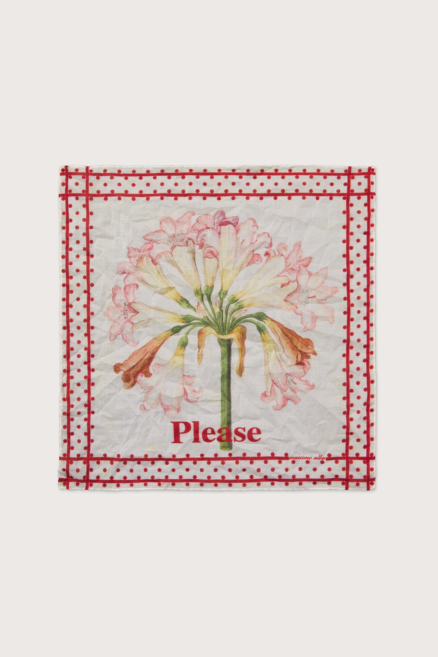 HANKY1