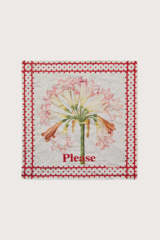 HANKY1