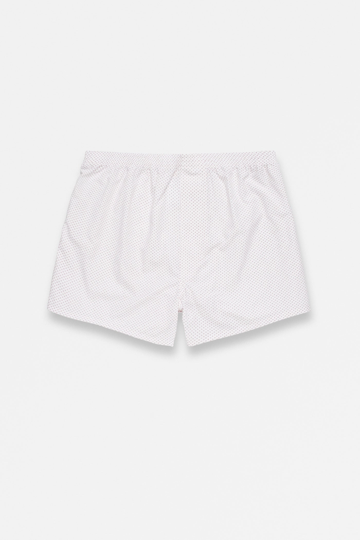 BOXER