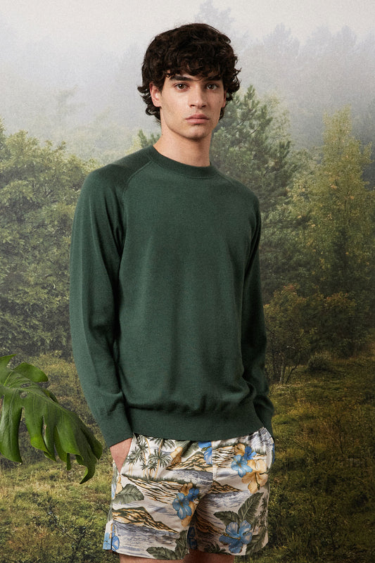 Massimo Alba - SPORT - seaweed
